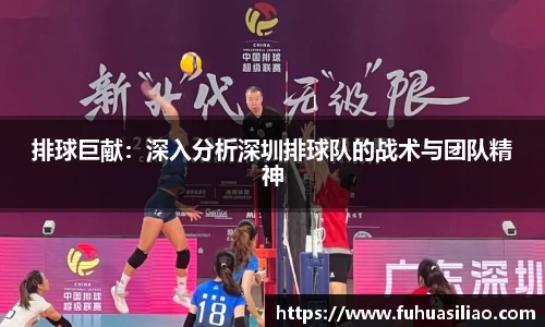 排球巨献：深入分析深圳排球队的战术与团队精神