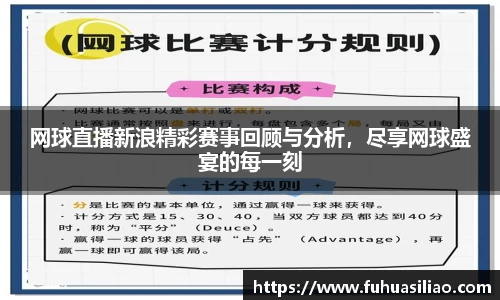 网球直播新浪精彩赛事回顾与分析，尽享网球盛宴的每一刻