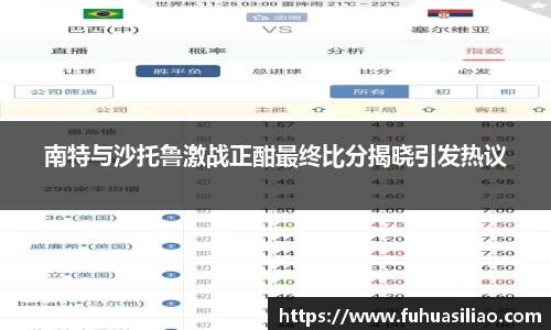 南特与沙托鲁激战正酣最终比分揭晓引发热议